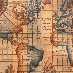 TAPIZ DE CUERO MAPA MUNDI