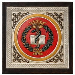 PANEL 50X50 ESCUDO MEDICINA