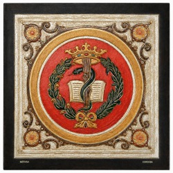 PANEL 37X37 ESCUDO MEDICINA